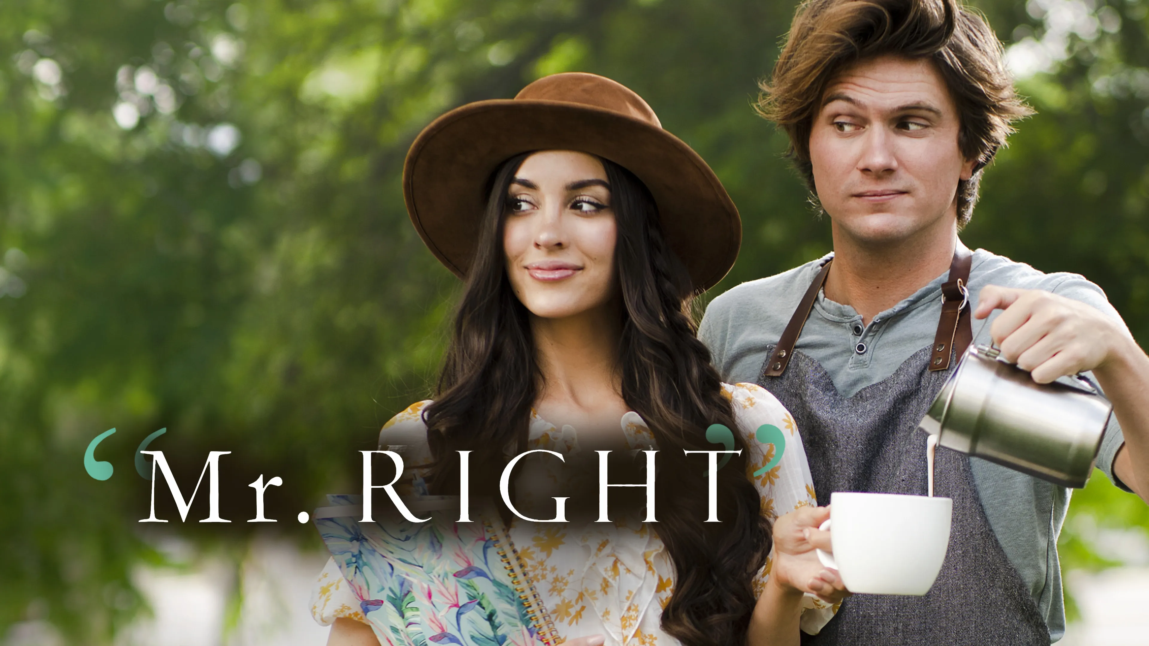 Mr. Right poster